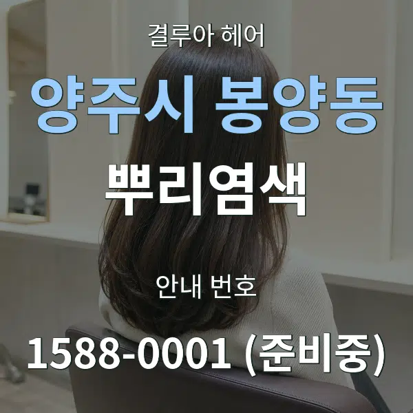 양주시 봉양동 뿌리염색 대표 안내 그래픽