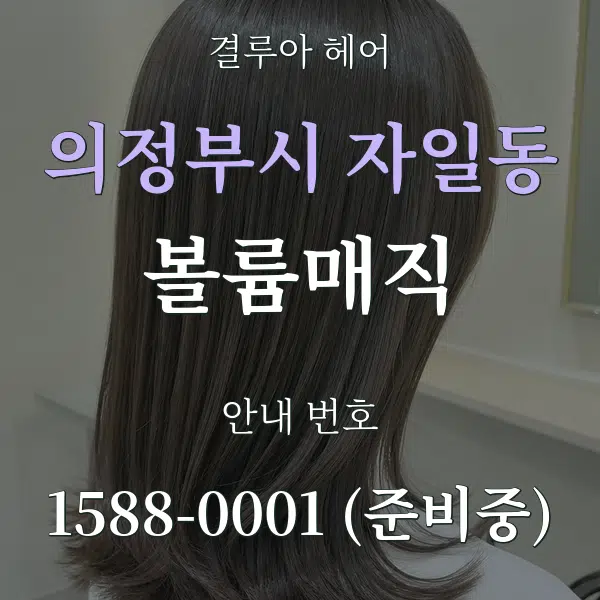 의정부시 자일동 볼륨매직 대표 안내 그래픽