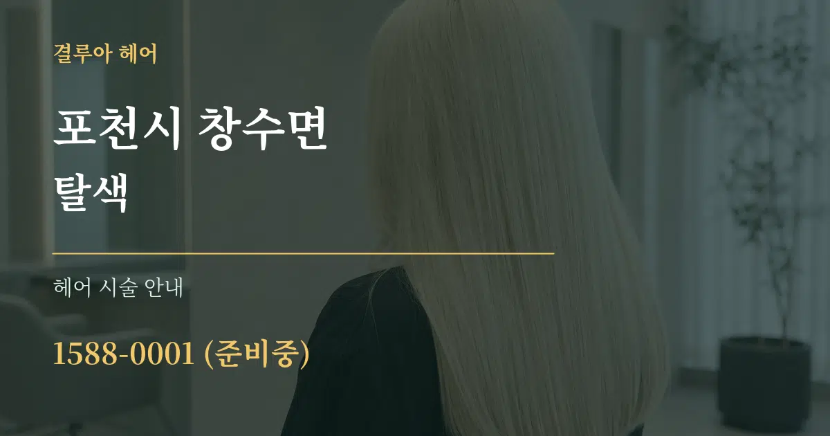 포천시 창수면 탈색 대표 안내 그래픽