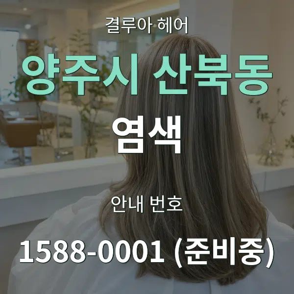 양주시 산북동 염색 대표 안내 그래픽