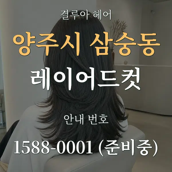 양주시 삼숭동 레이어드컷 대표 안내 그래픽