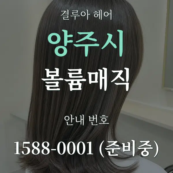 양주시 볼륨매직 대표 안내 그래픽