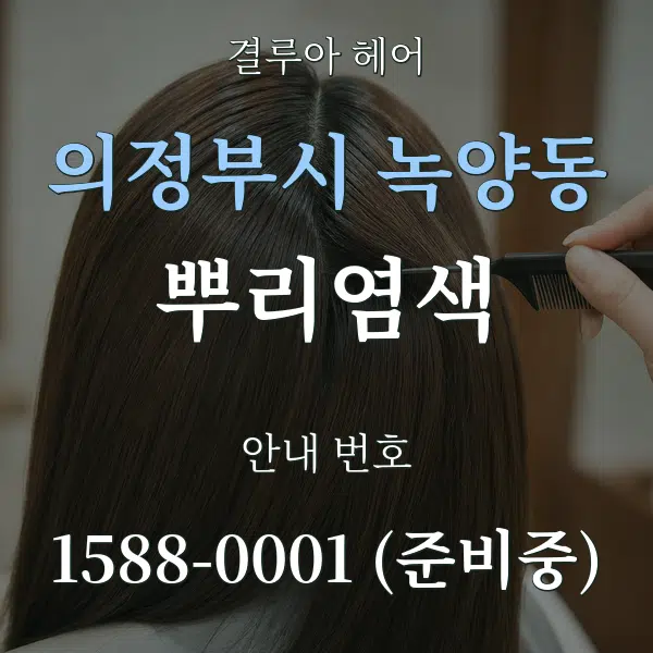 의정부시 녹양동 뿌리염색 대표 안내 그래픽
