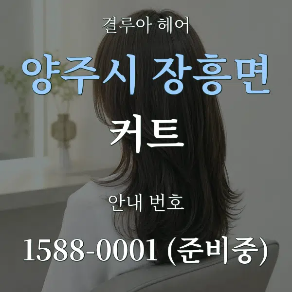 양주시 장흥면 커트 대표 안내 그래픽