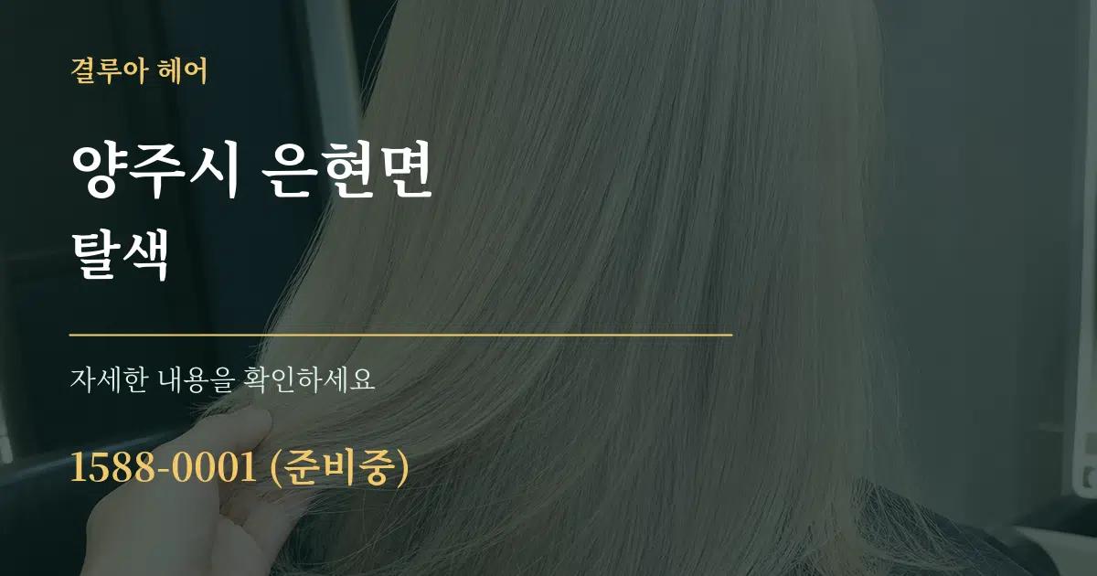 양주시 은현면 탈색 서비스 이용 안내 그래픽