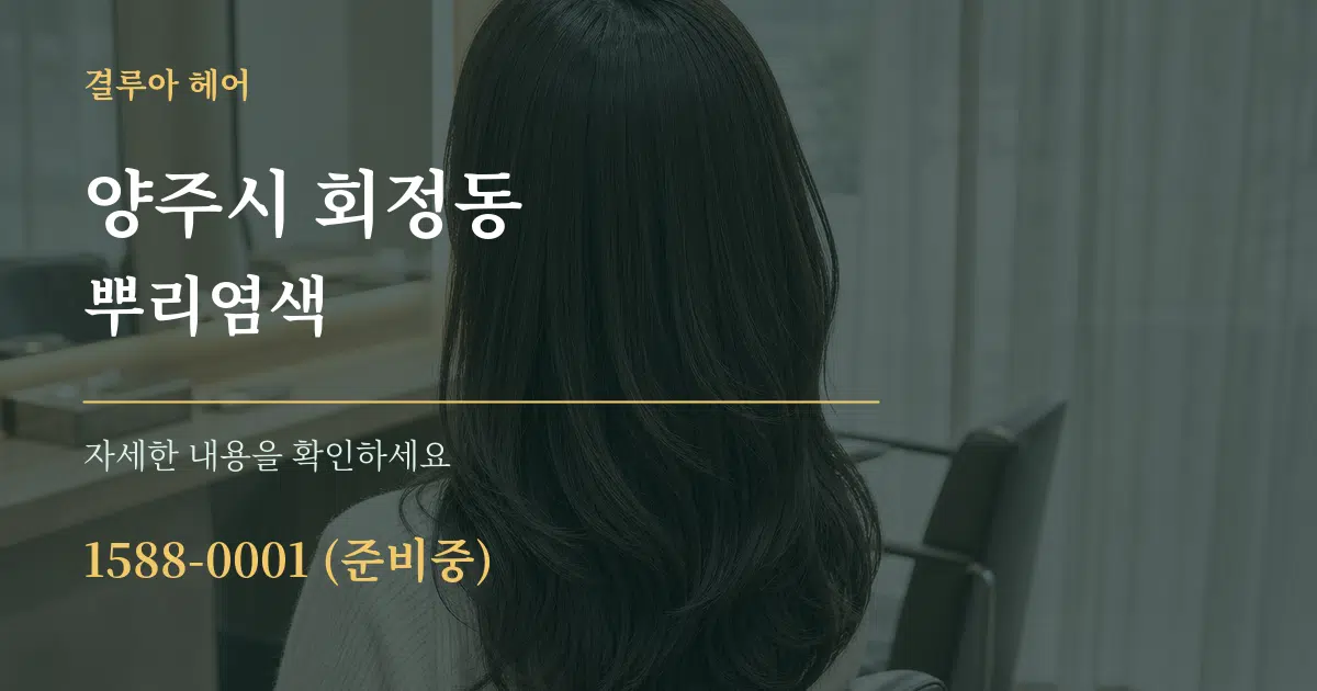 양주시 회정동 뿌리염색 서비스 이용 안내 그래픽