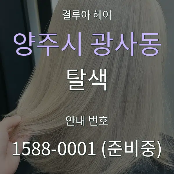 양주시 광사동 탈색 대표 안내 그래픽