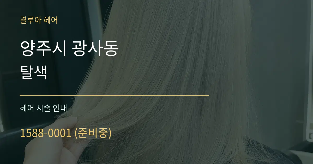 양주시 광사동 탈색 대표 안내 그래픽