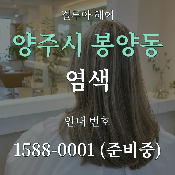 양주시 봉양동 염색 대표 안내 그래픽