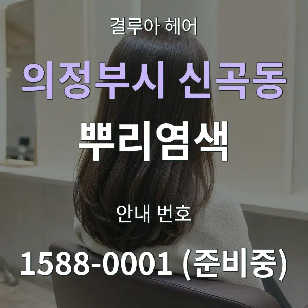 의정부시 신곡동 뿌리염색 대표 안내 그래픽