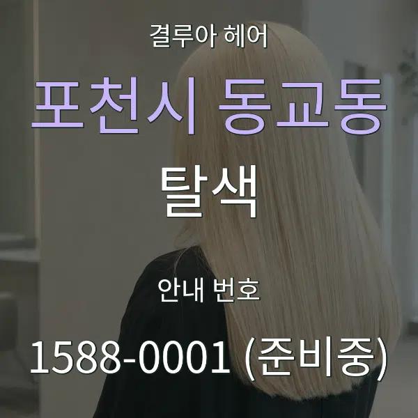 포천시 동교동 탈색 대표 안내 그래픽