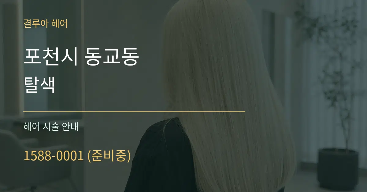 포천시 동교동 탈색 대표 안내 그래픽