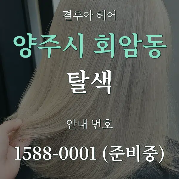 양주시 회암동 탈색 대표 안내 그래픽