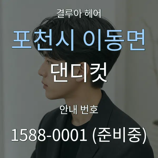 포천시 이동면 댄디컷 대표 안내 그래픽