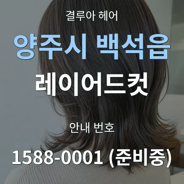 양주시 백석읍 레이어드컷 대표 안내 그래픽