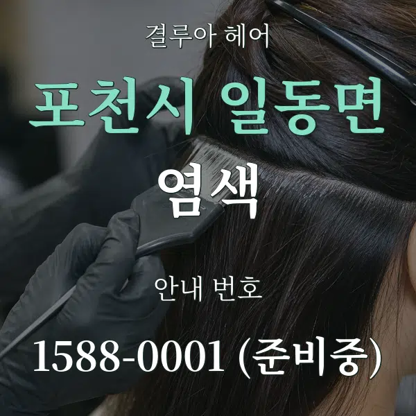 포천시 일동면 염색 대표 안내 그래픽
