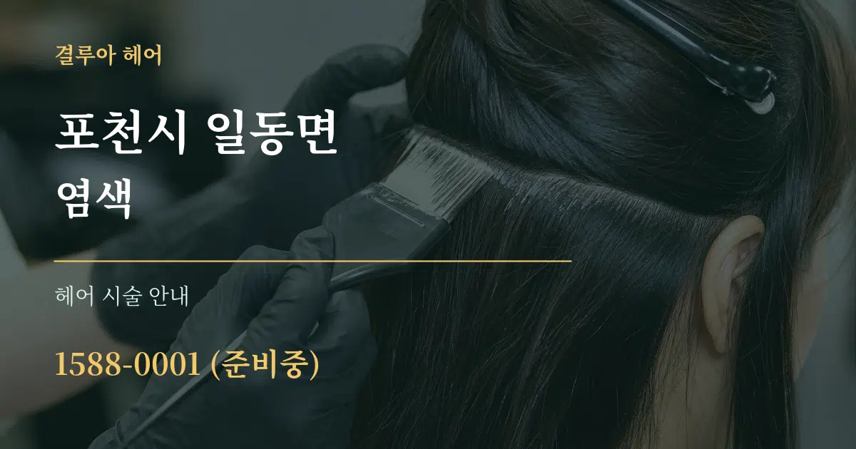 포천시 일동면 염색 대표 안내 그래픽