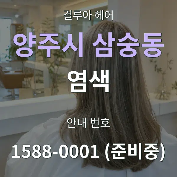 양주시 삼숭동 염색 대표 안내 그래픽
