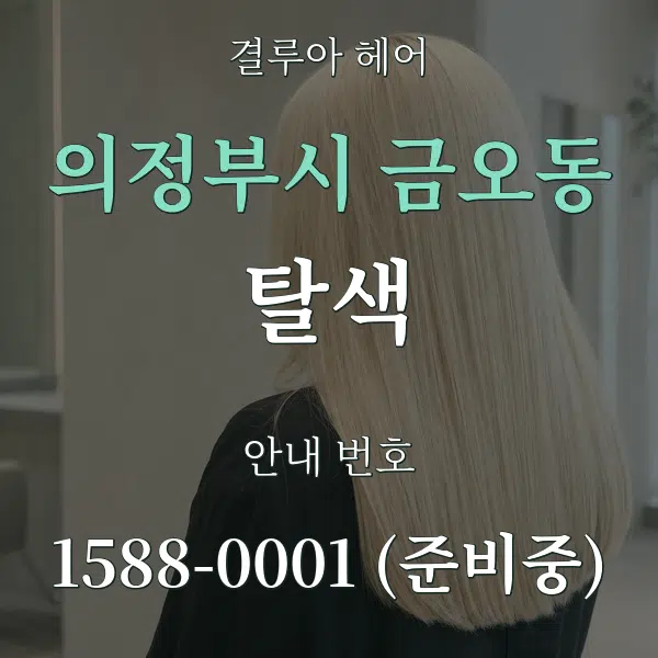의정부시 금오동 탈색 대표 안내 그래픽