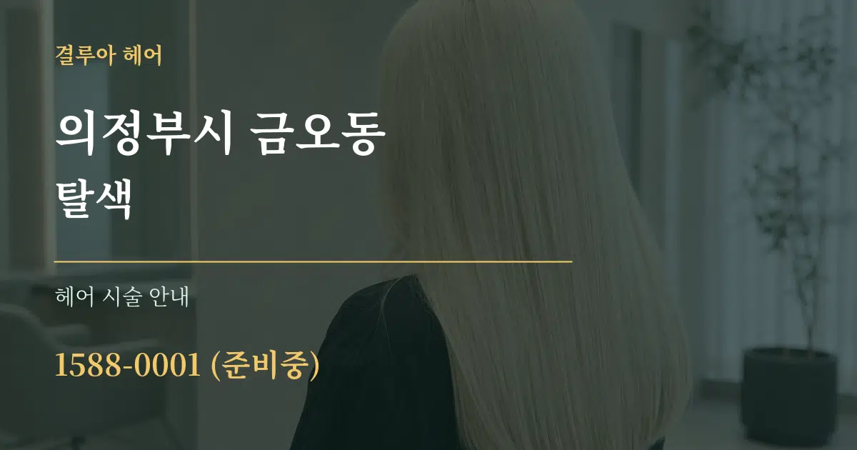 의정부시 금오동 탈색 대표 안내 그래픽