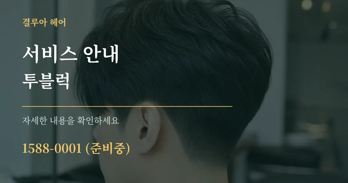 서비스 안내 투블럭 서비스 이용 안내 그래픽