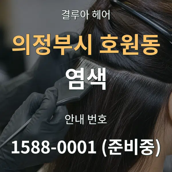 의정부시 호원동 염색 대표 안내 그래픽