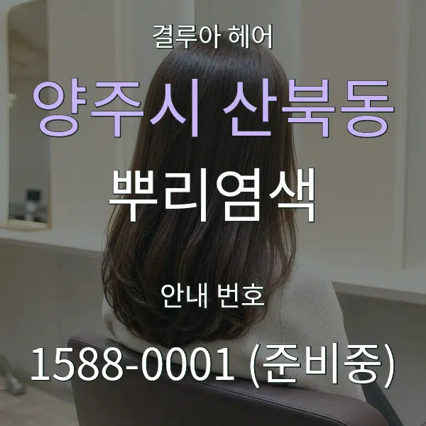 양주시 산북동 뿌리염색 대표 안내 그래픽