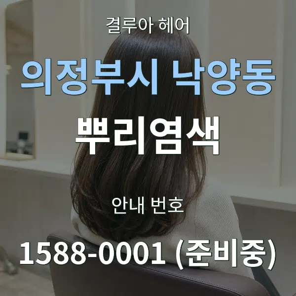 의정부시 낙양동 뿌리염색 대표 안내 그래픽