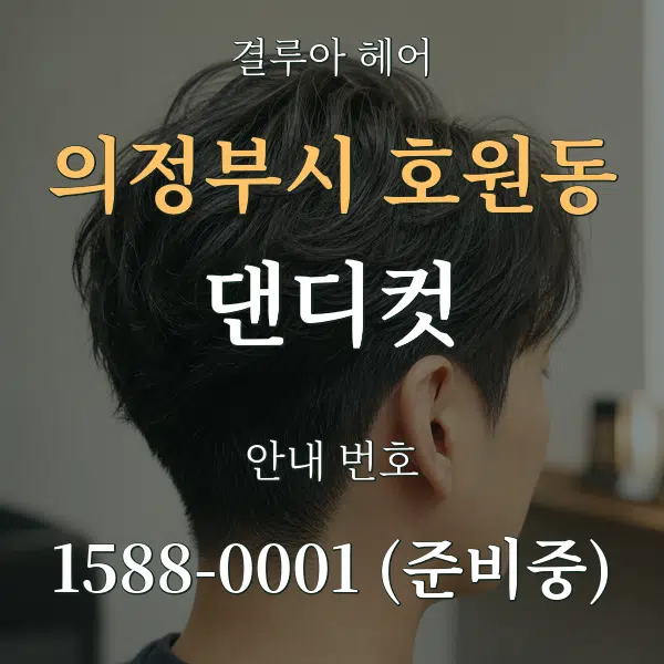 의정부시 호원동 댄디컷 대표 안내 그래픽