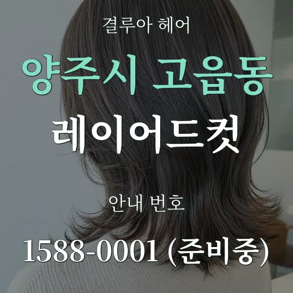 양주시 고읍동 레이어드컷 대표 안내 그래픽
