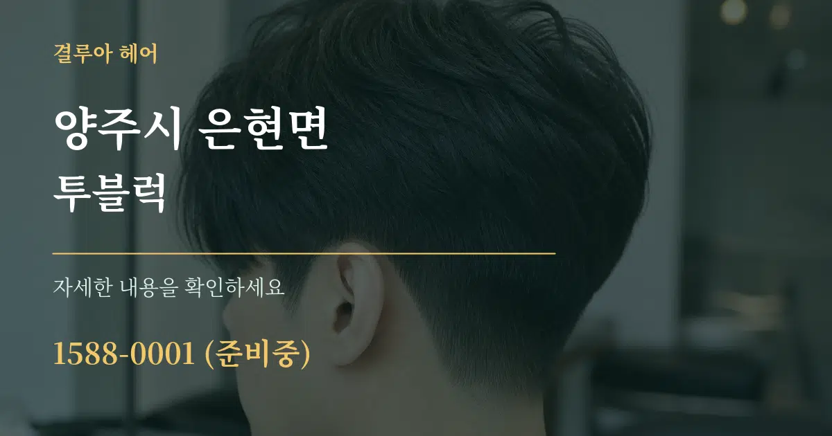 양주시 은현면 투블럭 서비스 이용 안내 그래픽