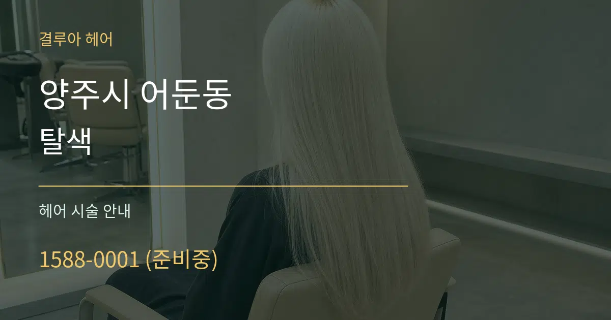 양주시 어둔동 탈색 대표 안내 그래픽