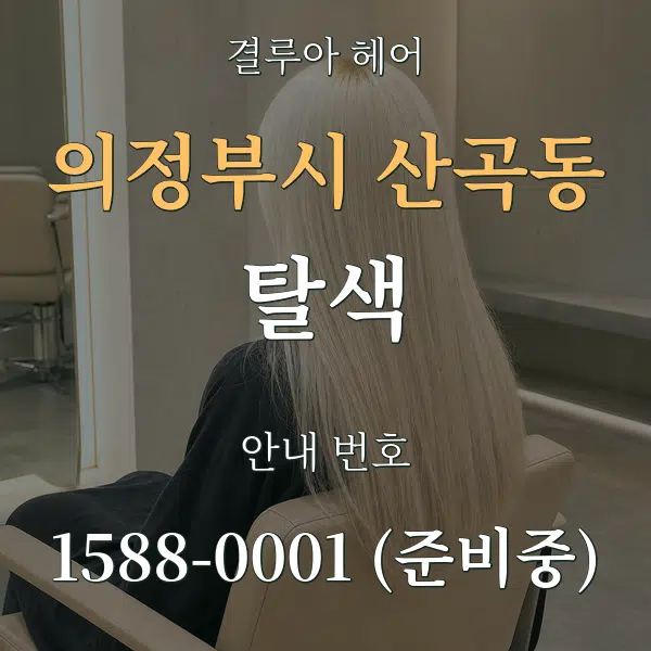 의정부시 산곡동 탈색 대표 안내 그래픽
