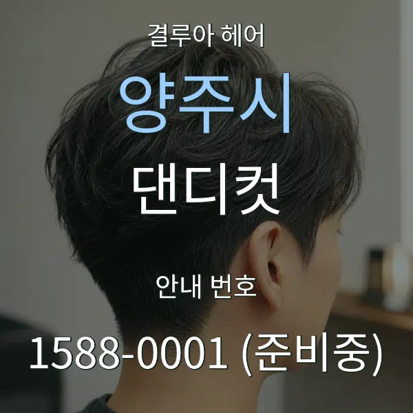 양주시 댄디컷 대표 안내 그래픽