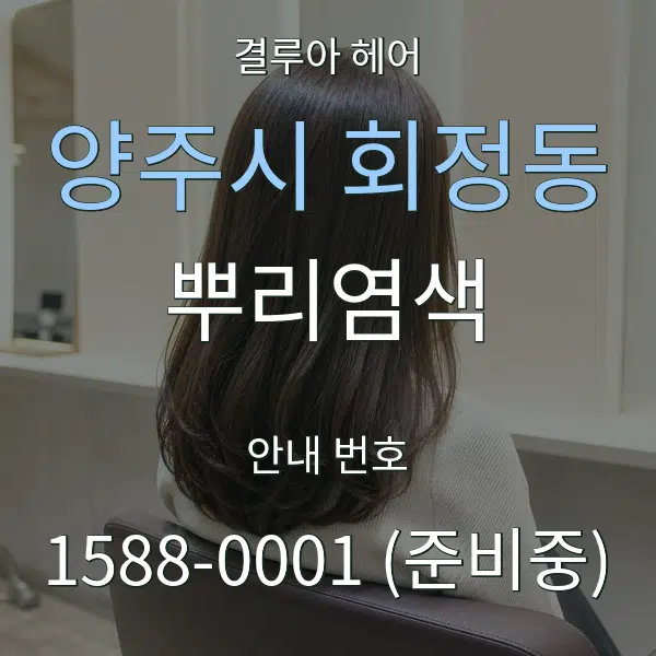 양주시 회정동 뿌리염색 대표 안내 그래픽