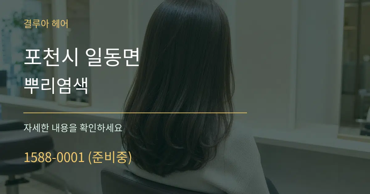 포천시 일동면 뿌리염색 서비스 이용 안내 그래픽