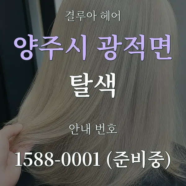 양주시 광적면 탈색 대표 안내 그래픽