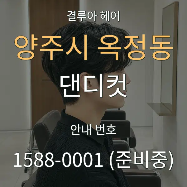 양주시 옥정동 댄디컷 대표 안내 그래픽