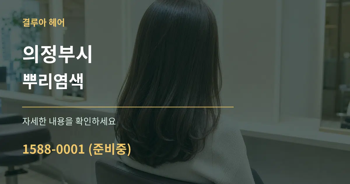 의정부시 뿌리염색 서비스 이용 안내 그래픽
