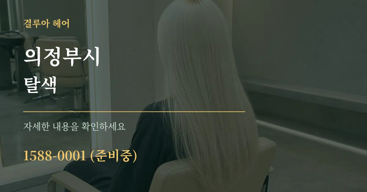 의정부시 탈색 서비스 이용 안내 그래픽