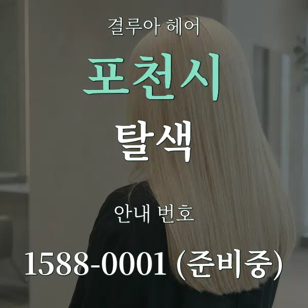 포천시 탈색 대표 안내 그래픽