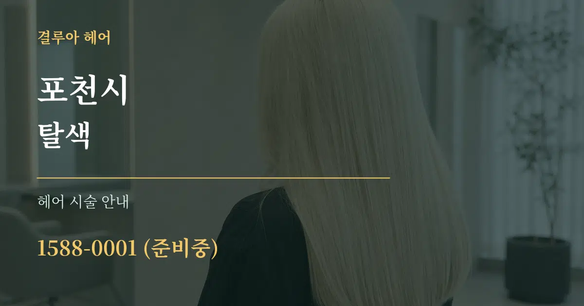 포천시 탈색 대표 안내 그래픽