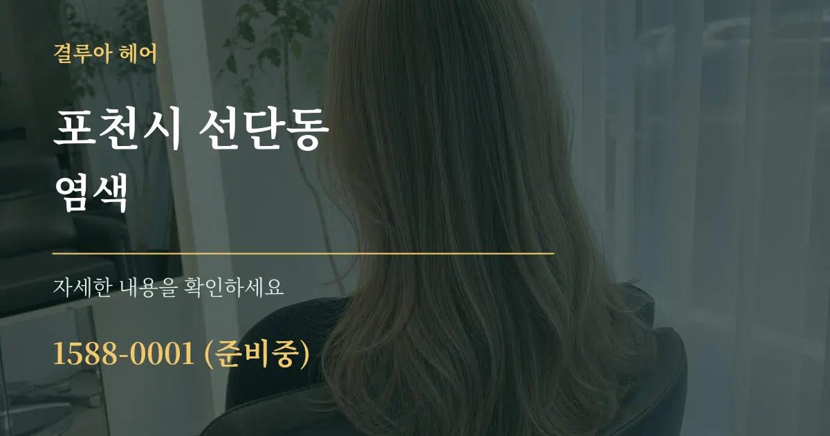 포천시 선단동 염색 서비스 이용 안내 그래픽