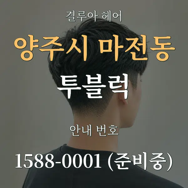 양주시 마전동 투블럭 대표 안내 그래픽
