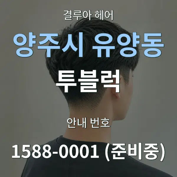 양주시 유양동 투블럭 대표 안내 그래픽