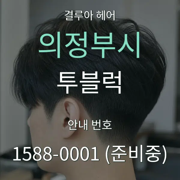 의정부시 투블럭 대표 안내 그래픽