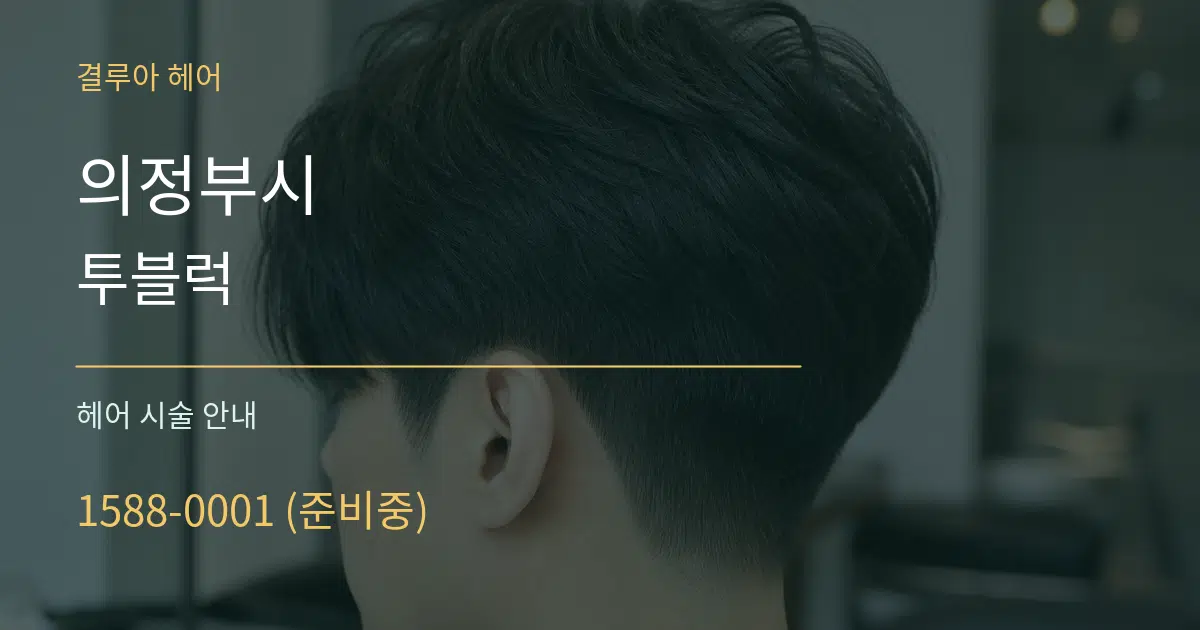 의정부시 투블럭 대표 안내 그래픽