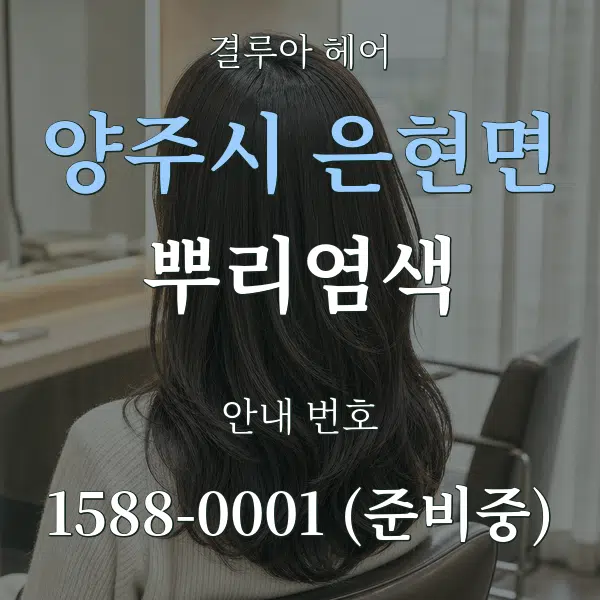 양주시 은현면 뿌리염색 대표 안내 그래픽