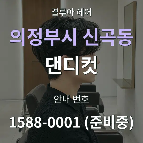 의정부시 신곡동 댄디컷 대표 안내 그래픽