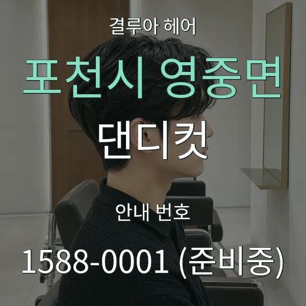 포천시 영중면 댄디컷 대표 안내 그래픽